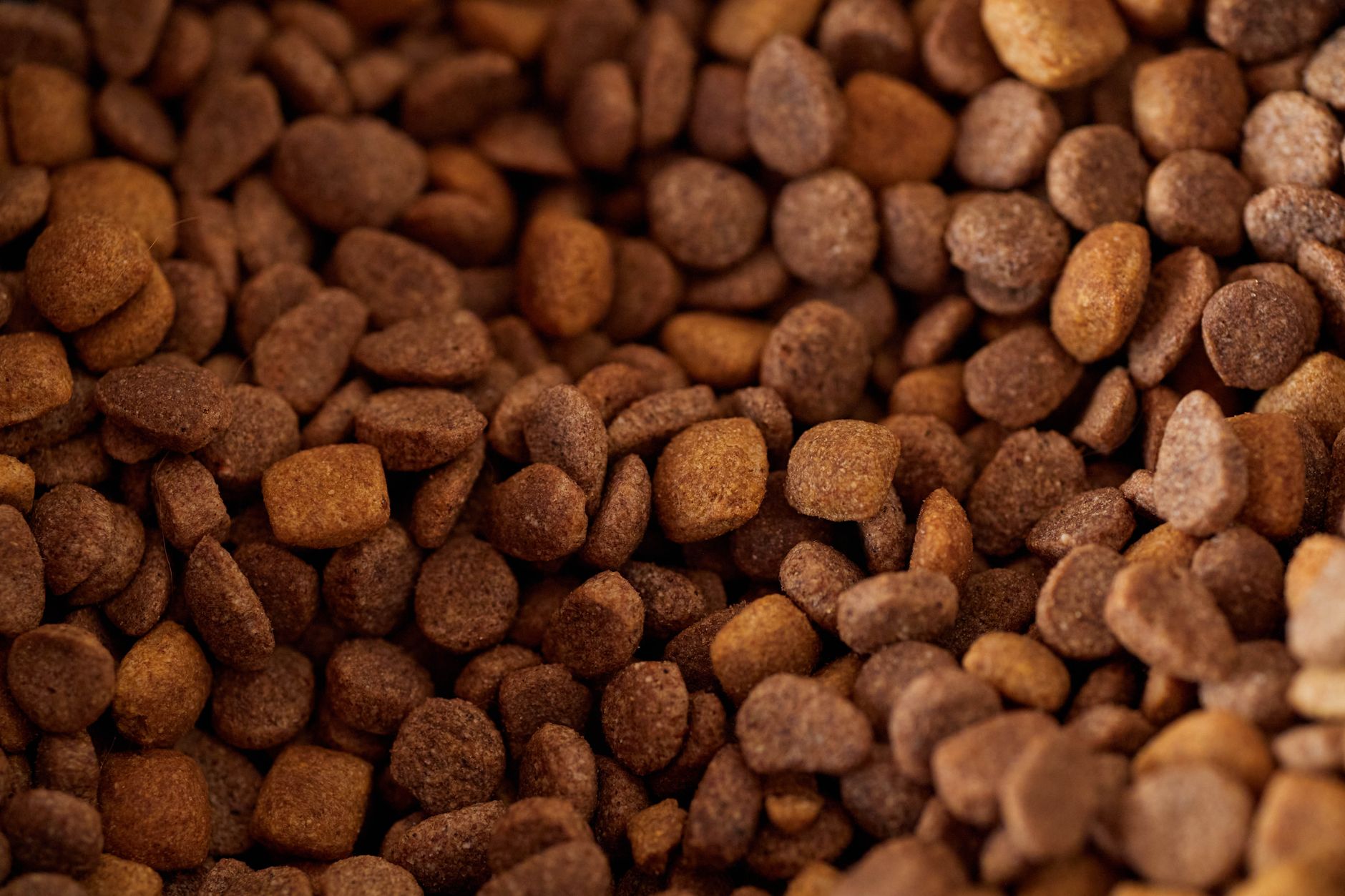 Ingredientes pienso premium
